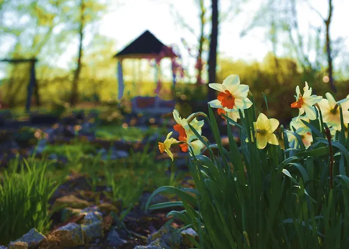 Noble & Sauna Zone דירה Zabierzow